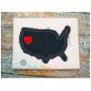 United States Distressed Applique