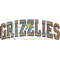 Grizzlies Arched 4x4 Satin Snap Shot
