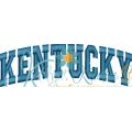 Kentucky Arched 4x4 Satin Snap Shot