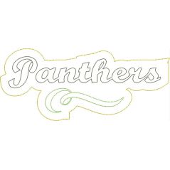 Panthers Distressed Applique Snap Shot