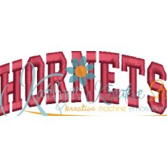 Hornets Arched 4x4 Satin Snap Shot