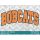 Bobcats Arched SVG