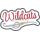 Wildcats Script 2017