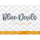 Blue Devils Script (2022 Series)
