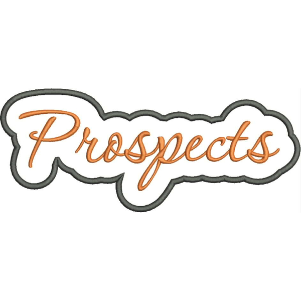 Prospects Applique Script Satin Snap Shot