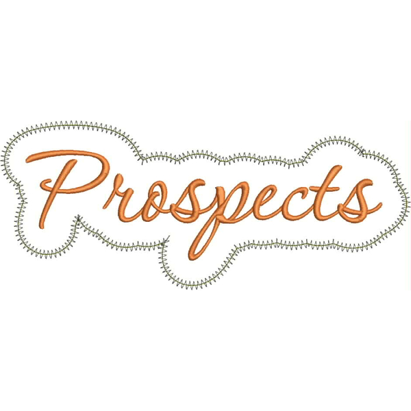 Prospects Applique Script Zig Zag Snap Shot