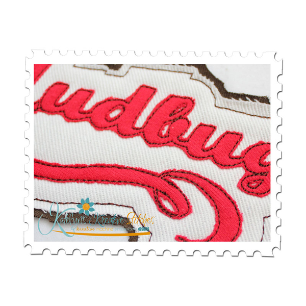 Mudbugs Distressed Applique Close Up