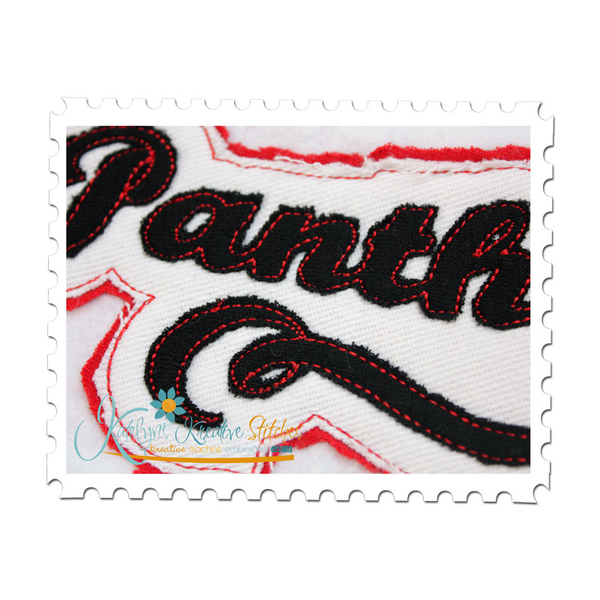 Panthers Distressed Applique Close Up
