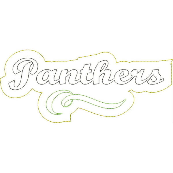 Panthers Distressed Applique Snap Shot