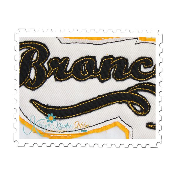 Broncos Distressed Applique Close Up
