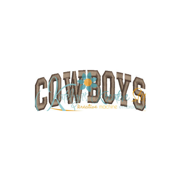 Cowboys Arched 4x4 Satin Snap Shot