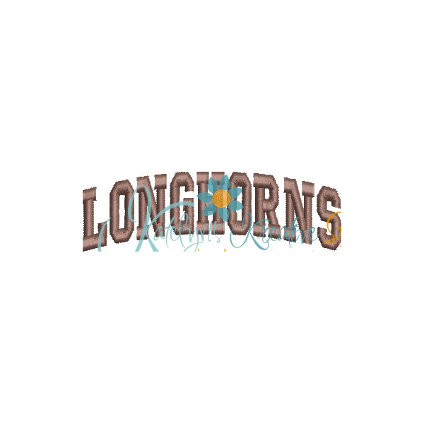 Longhorns Arched 4x4 Satin Snap Shot