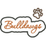 Bulldawgs Applique Script Satin Snap Shot