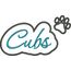 Cubs Applique Script Satin Snap Shot