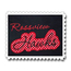Hawks Applique Script Satin Snap Shot