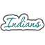 Indians Applique Script Satin Snap Shot