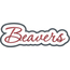 Beavers Applique Script Satin Snap Shot