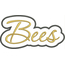 Bees Applique Script Satin Snap Shot