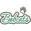 Bobcats Applique Script Satin Snap Shot