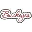 Buckeyes Applique Script Satin Snap Shot