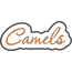 Camels Applique Script Satin Snap Shot