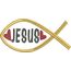Christian Fish Applique Snap Shot