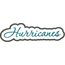Hurricanes Applique Script Satin Snap Shot