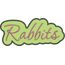 Rabbit Applique Script Satin Snap Shot