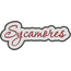Sycamores Applique Script Satin Snap Shot