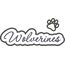 Wolverines Applique Script Satin Snap Shot