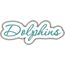 Dolphins Applique Script Zig Zag Snap Shot