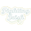 Fighting Irish Distressed Applique Snap Shot