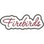 Firebirds Applique Script Satin Snap Shot