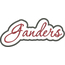 Ganders Applique Script Satin Snap Shot