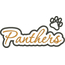 Panthers Applique Script Satin Snap Shot