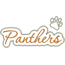Panthers Applique Script Zig Zag Snap Shot