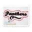 Panthers Distressed Applique