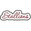 Stallions Applique Script Satin Snap Shot