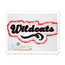 Wildcats Distressed Applique