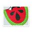 Any Watermelon Applique Close Up