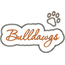 Bulldawgs Applique Script Zig Zag Snap Shot