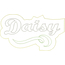 Daisy Distressed Applique Snap Shot