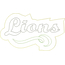 Lions Distressed Applique Snap Shot