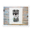 Schnauzer Applique