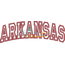 Arkansas Arched Applique Snap Shot