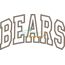 Bears Arched Applique Snap Shot