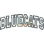 Bluecats Arched Applique Snap Shot