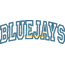 Bluejays Arched Applique Snap Shot