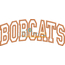 Bobcats Arched Applique Snap Shot
