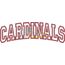 Cardinals Arched Applique Snap Shot